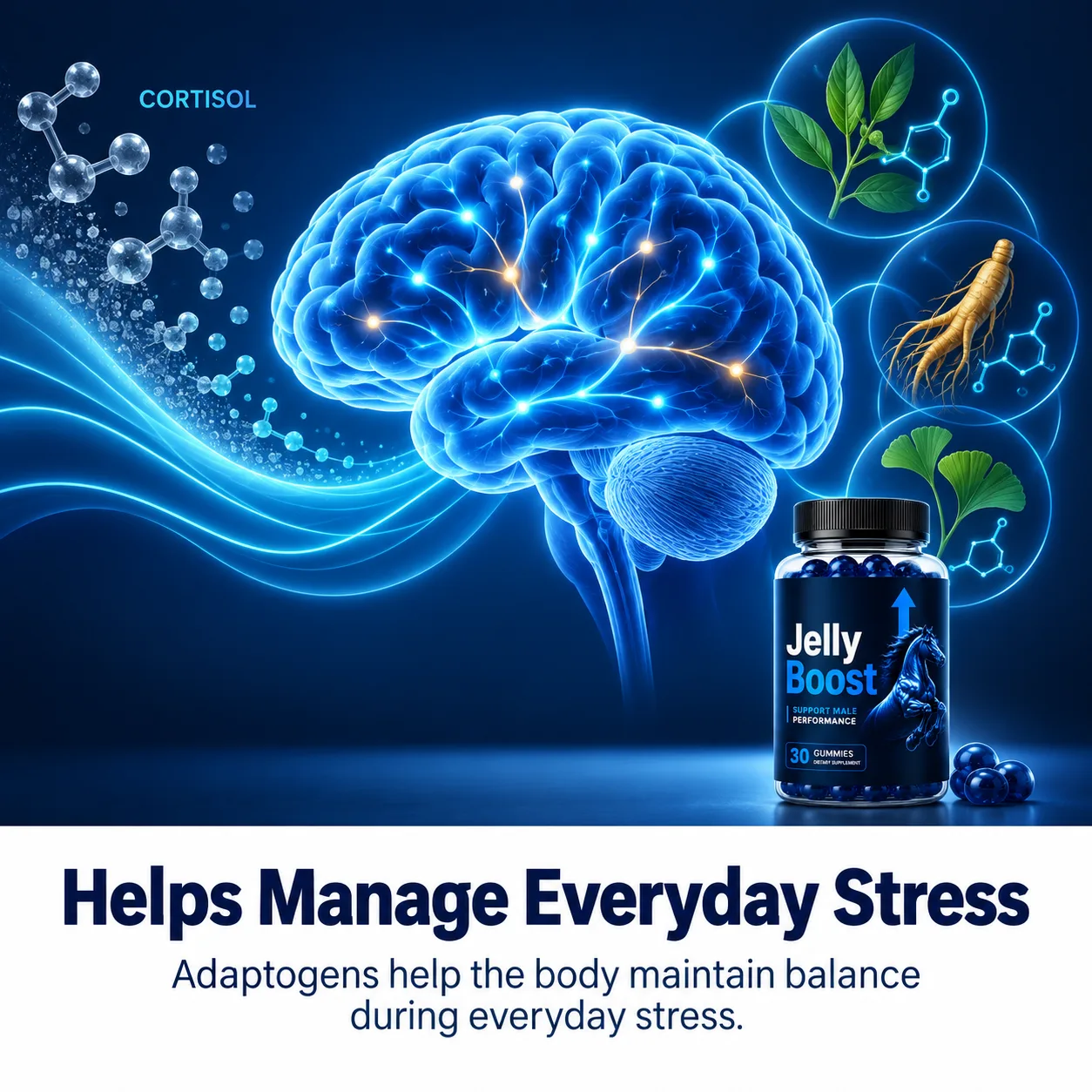 Illustration of stress response and adaptogen botanicals supported by JellyBoost